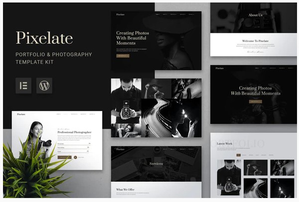 [Themeforest] Pixelate - Portfolio & Photography E_0.jpg